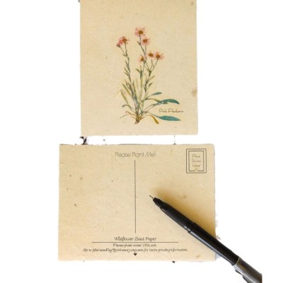 可发芽种子纸 明信片环保礼品品种贺卡邀请函可发芽种子纸图2