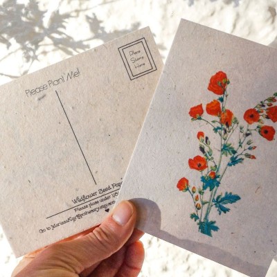 可发芽种子纸 明信片环保礼品品种贺卡邀请函可发芽种子纸图4