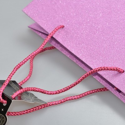 跨境【亚马逊】纯色手提袋闪光金葱礼品袋 LOGO不掉粉包装纸袋图2