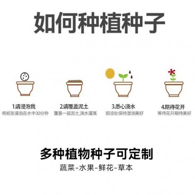 A4手工种子发芽纸现货销售特种纸散装可种植纸300克纸空白种子纸图5