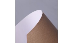 制浆造纸国家工程实验室产业化专项开放基金2024年度获资助项目公告