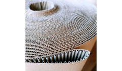 注意！青山纸业将于3月14日召开股东大会