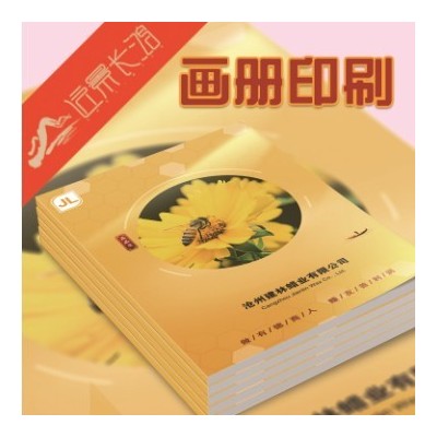 企业宣传画册印刷设计公司产品图册说明书 印刷画册图2