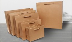 芬林集团发布2024年度报告及气候转型计划