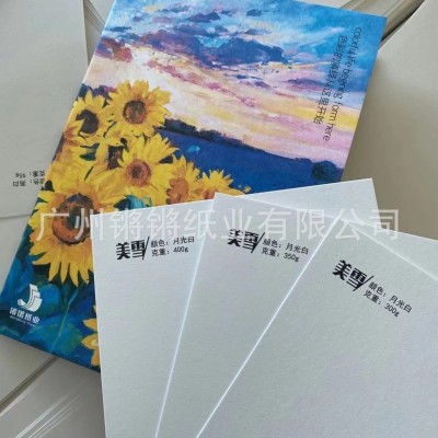 柔美纸唯美纸美雪纸120g250 300g350g400g大满版印刷印刷包装现货图3