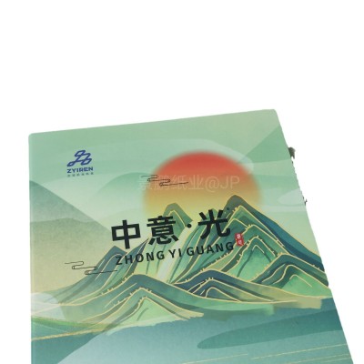 大本新款样册金葱双闪银葱 镭射撒粉纸金属蚕丝 马壳纹 PVC图5