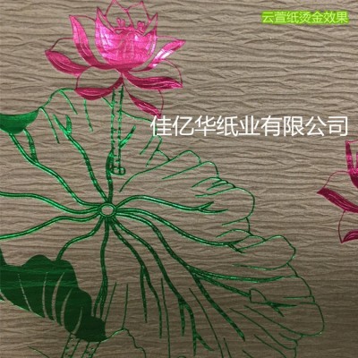 厂家现货直销批发高档特种花纹艺术包装纸量大可优惠俏纹云萱纸图3