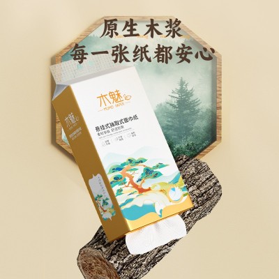木魅10提14000张挂抽悬挂式抽纸大包装底部抽整箱批发家用卫生纸图2