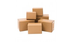 重点项目建设“踏春”提速——日照电视台报道亚太森博一设备更新技改项目