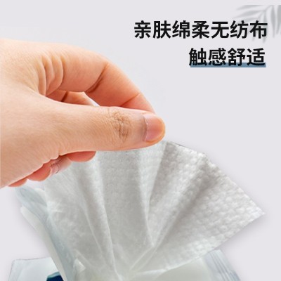 厂家一次性湿巾便携装旅行户外去污独立装草本湿纸巾湿巾定制logo图4