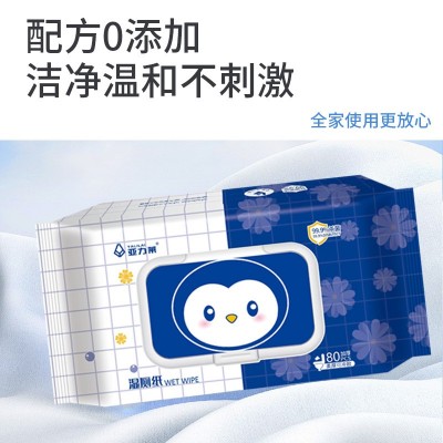 湿厕纸80抽家用可冲散擦屁股如厕湿巾男女私处清洁护理湿厕巾批发图4