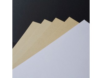 《纸浆抗碱性的测定》等7项造纸领域国家标准计划项目批准下达