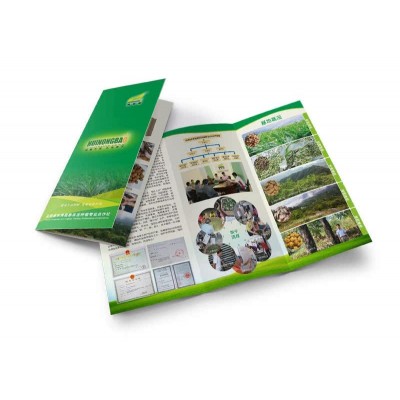 厂家定制105G128G157G200G宣传两折页三折页四折页设计制作印刷图2