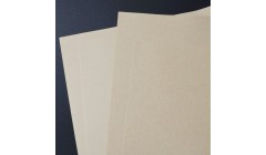 亚太森博（山东）生活纸事业部传捷报，单月产量首破2000吨！