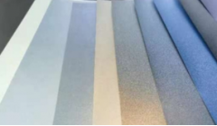 金光集团APP（中国）荣获“可持续先锋案例”奖项