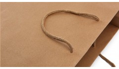 逐绿前行勇当“碳”路先锋