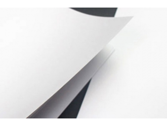 中国纸业山东银河瑞雪公司与五台山国有林局交流座谈