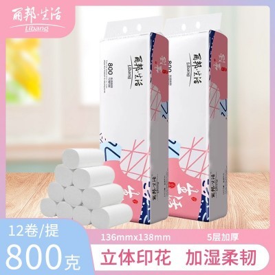 丽邦生活800原生木浆无芯5层大卷妇婴纸巾卷纸家庭实惠装宿舍厕所图2
