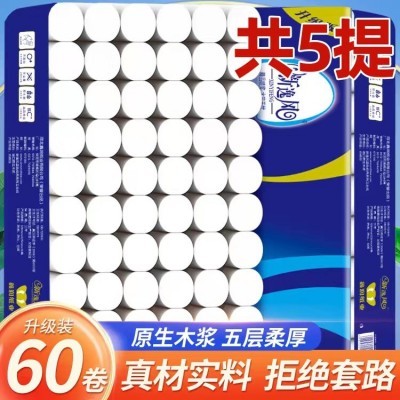卫生纸卷纸家用实惠装60卷无芯加厚卷筒纸擦手纸5层厕所纸批发图2