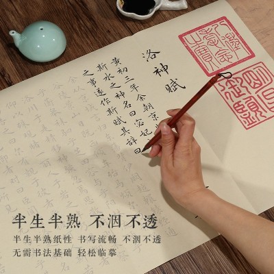 赵孟頫洛神赋临摹描红仿古宣纸小楷毛笔字帖书法入门楷书练习字帖