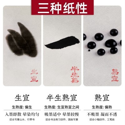 一得阁宣纸空白书画半生半熟宣纸毛笔书法国画加厚书画教学专用纸图4