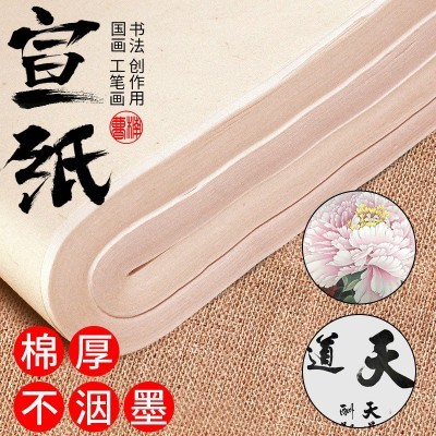 曹楠宣纸书法纸练习纸国画生宣纸半生半熟学生初学者三尺四尺图3