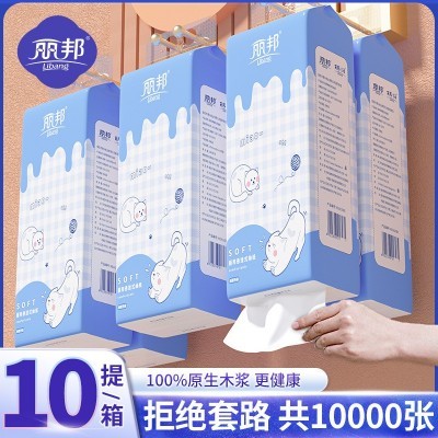 丽邦可爱款悬挂式底部抽纸巾4层250抽10提箱装家庭装卫生 纸批发图3