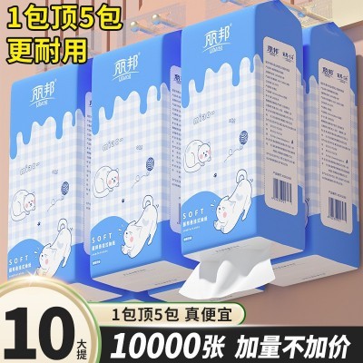 丽邦可爱款悬挂式底部抽纸巾4层250抽10提箱装家庭装卫生 纸批发图2
