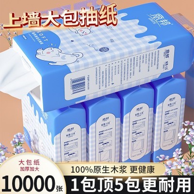 丽邦可爱款悬挂式底部抽纸巾4层250抽10提箱装家庭装卫生 纸批发图4