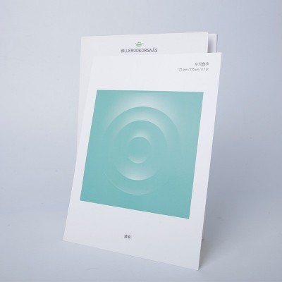 纸驿站直供 加厚皇冠白卡纸化妆品包装单面涂布卡纸瑞典白卡纸图5