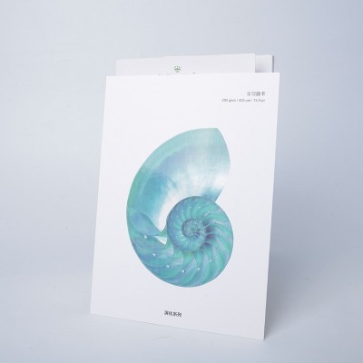 纸驿站直供 加厚皇冠白卡纸化妆品包装单面涂布卡纸瑞典白卡纸图2
