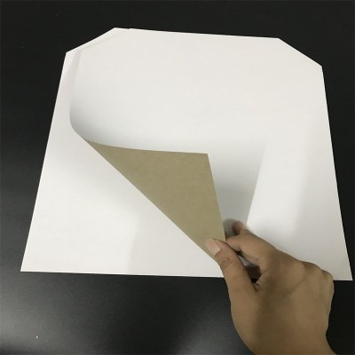 批发 服装T恤内衬包装纸卡25*35CM 250克A级单面白卡 厂价直销图4