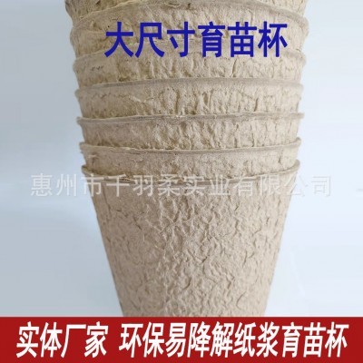 跨镜纸浆育苗杯大尺寸花盘可降解植物杯纸浆育苗盆11CM 13CM 15.5图4