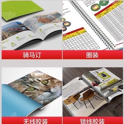 展会画册宣传册加急印刷黑白说明书彩色宣传单折页印刷海报加急定图2