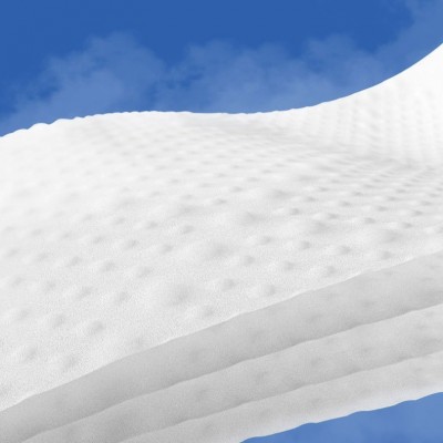 600克酒店专用大卷纸餐厅卫生间大盘纸家用有芯厕纸支持定制批发图4