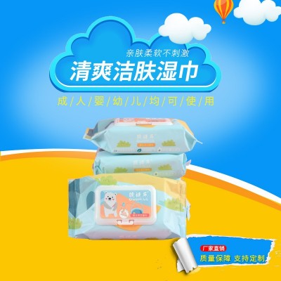 厂家直供 湿巾 60抽 手口宝宝婴幼儿 湿纸巾 幼儿 大包家用图3