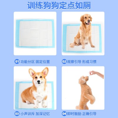定制宠物尿垫狗狗训导尿垫宠物背胶加厚吸水一次性训导垫猫咪尿片