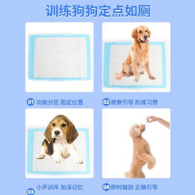 源头工厂宠物尿垫加厚一次性狗狗尿不湿训导垫除臭宠物用品纸尿垫
