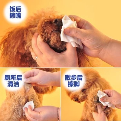 Pet soft宠物湿巾猫狗去异味专用擦泪痕擦狗狗屁屁湿纸巾100片图2