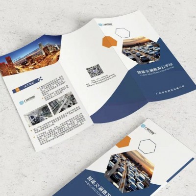 说明书印刷厂彩页单 宣传三折页 画册 彩页印刷 六国说明书图4