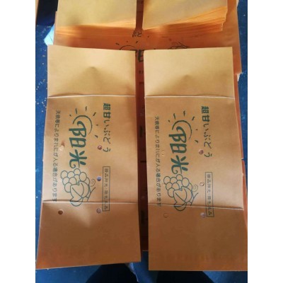 葡萄套袋纸袋 阳光玫瑰纸袋 水果套袋图3