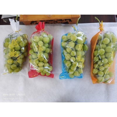 包装袋 梯形包装袋 一面防雾膜 一面无纺布