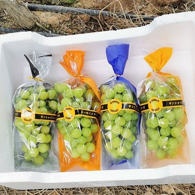 阳光玫瑰梯形包装袋纸加膜一体防雾高透明扎丝封口葡萄包 装袋批发图4