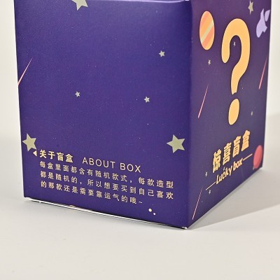 工厂批发惊喜盒子幸运盒子公仔潮玩抽奖图案logo盲盒包装定制图3