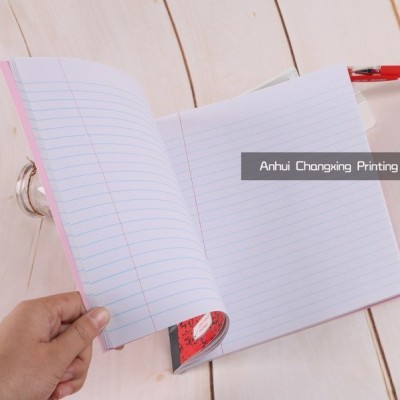 外贸本子 莫桑比克 非洲铁钉本 马丁本 骑马钉本 安哥拉本 angola图4