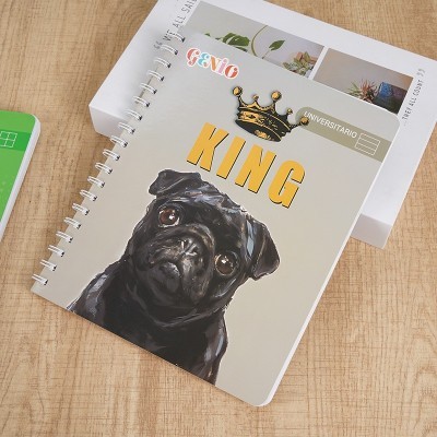 跨境专供外贸笔记本南美线圈本智利线圈本线圈本双线圈本外贸线圈图5