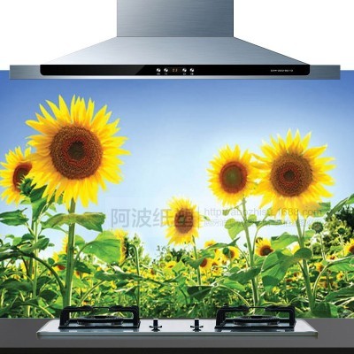 厨房防油贴纸 75*45彩色加厚防潮耐高温铝箔瓷砖贴墙画贴纸图4