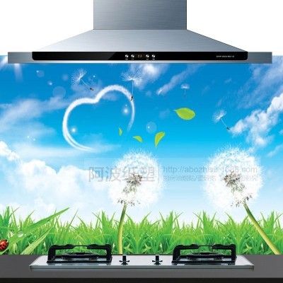 厨房防油贴纸 75*45彩色加厚防潮耐高温铝箔瓷砖贴墙画贴纸