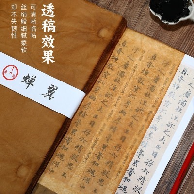 蝉翼古法竹浆皮纸雁皮手工宣纸草木染复古半生熟行书草书写经抄经图3