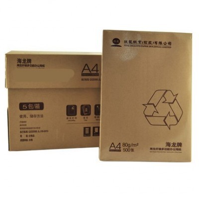 玖龙海龙复印纸A4 70G 500张/包白纸办公用纸打印纸东莞厂家批发图4